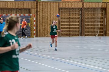 Bild 210 - Damen HSG Kremperheide/M�nsterdorf - Suchsdorfer SV : Ergebnis: 39:22